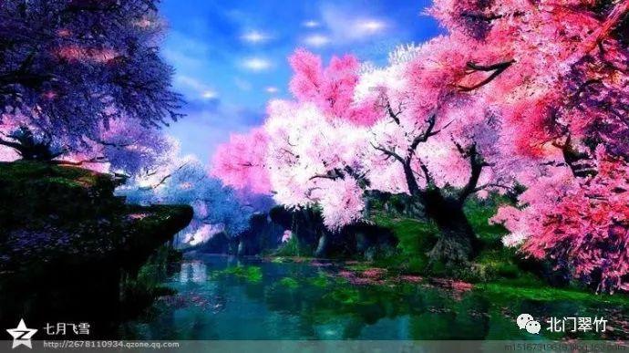 生化危机：浣熊市行动